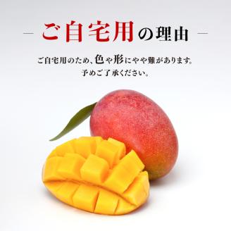【先行予約】【令和8年発送】宮崎県産完熟マンゴー　ご自宅用3玉 【 果物 フルーツ マンゴー 宮崎県産 完熟マンゴー みやざきマンゴー 先行予約 】[C03216]