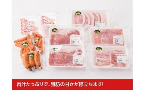 尾鈴豚おすすめセット 【 肉 豚肉 精肉 肉加工品 惣菜 詰め合わせ ロースしゃぶ ロースカツ カタロース バラ 骨付きフランク あらびきウインナー 生ハム ロース 】［C00402］