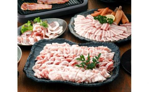 こだわり尾鈴豚セット 【 肉 豚肉 精肉 肉加工品 惣菜 詰め合わせ カタロースしゃぶ用 バラしゃぶ用 バラ焼肉用 骨付きフランク 生ハム ロース あらびきウインナー ロースハム ステーキ 】[C00403]