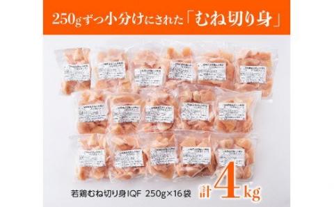 宮崎県産若鶏ムネ切身 計4kg (250ｇ×16袋)　肉鶏鶏肉とり肉国産鶏肉九州産鶏肉宮崎県産鶏肉送料無料鶏肉 [D00708]