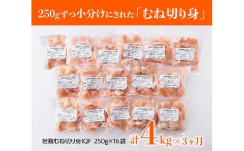【3ヶ月定期便】宮崎県産若鶏むね切身 計4kg (250g×16袋 )　肉鶏鶏肉とり肉国産鶏肉九州産鶏肉宮崎県産鶏肉定期便鶏肉送料無料鶏肉 [D00708t3]