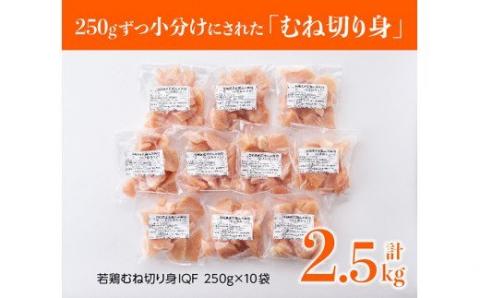 【6ヶ月定期便】宮崎県産若鶏むね切身 計2.5kg (250g×10袋)  肉鶏小分け鶏肉カット済みむねヘルシー全６回送料無料[D00707t6]