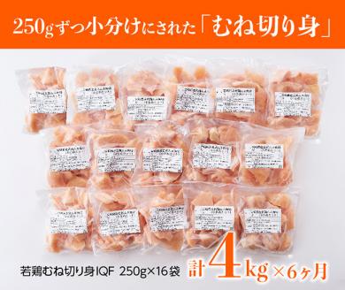 【6ヶ月定期便】宮崎県産若鶏むね切身 計4kg (250g×16袋) 　肉鶏鶏肉とり肉国産鶏肉九州産鶏肉宮崎県産鶏肉定期便鶏肉送料無料鶏肉 [D00708t6]