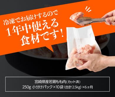 【6ヶ月定期便】宮崎県産若鶏もも切身 計2.5kg(250g×10袋) 鶏肉[D00705t6]
