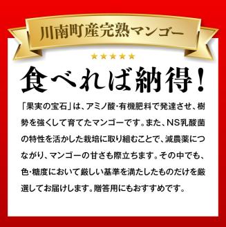 【先行予約】【令和8年発送】宮崎県産完熟マンゴー「果実の宝石」　プレミアム 2L×2玉 【 果物 フルーツ 先行予約 数量限定 宮崎県産 九州産 川南町産 糖度15度以上 期間限定 】[C03707]