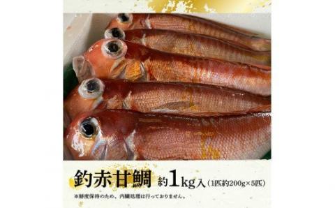 『釣赤甘鯛 C』_鮮魚さかな九州宮崎川南町新鮮魚介海の幸魚介類たい送料無料魚介 [D04410]