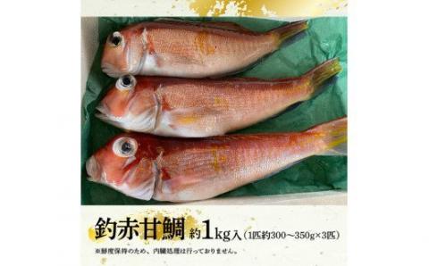 『釣赤甘鯛 Ｂ』_鮮魚鯛さかな九州宮崎川南町新鮮魚介海の幸魚介類たい送料無料魚介 [D04409]