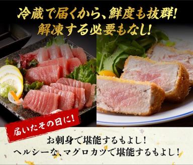 漁協直送！キハダマグロブロック（生）1kg 【 鮪 まぐろ 刺身 マグロ 漬け 新鮮 冷蔵 海の幸 魚介 送料無料 】 [H170801]