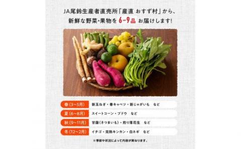 産直　おすず村　厳選詰め合わせセット（小） 【 旬野菜 フルーツ 直売所 産地直送 宮崎県産 】[G3801]