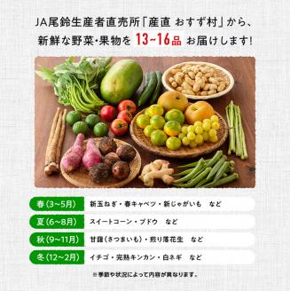 産直　おすず村　厳選詰め合わせセット（大） 【 旬野菜 フルーツ 直売所 産地直送 宮崎県産 】[G3803]