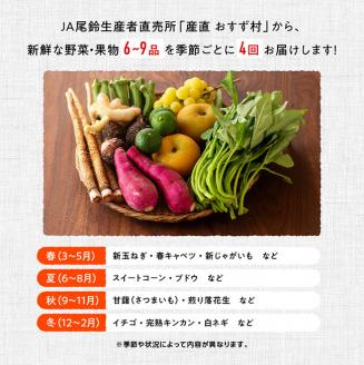 【定期便】産直おすず村 季節の野菜と果物 厳選 詰め合わせセット（小） 【 旬野菜 フルーツ 直売所 産地直送 宮崎県産 】[G3802]