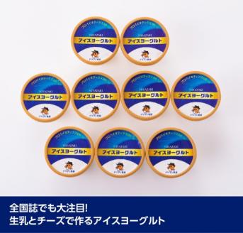 アイスヨーグルトセット 【 アリマン 菓子 デザート 詰め合わせ アイス ヨーグルト 】[E2903]