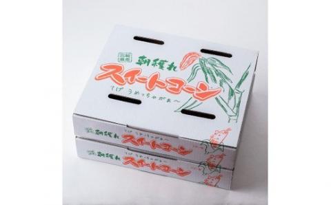 【先行予約】【令和8年発送】宮崎県産とうもろこし　朝どれ！守部さんちのゴールドラッシュ10kg 【とうもろこし スイートコーン 野菜 】[C06414]