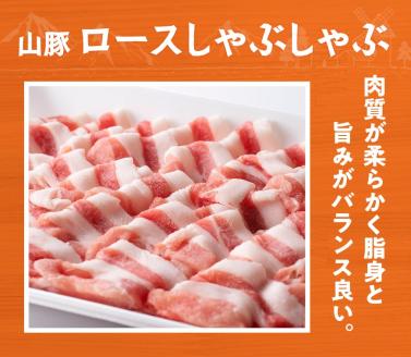 山豚ロースしゃぶ・バラ焼肉セット　豚肉[G7518]