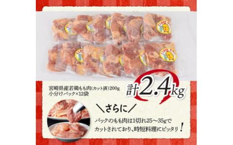 【6ヶ月定期便】宮崎県若鶏もも肉2.4kg（200g×12袋）※令和7年1月から6月発送※ 【 定期便 6回 肉 鶏 鶏肉 若鶏 もも 小分け 】[C06906t6]