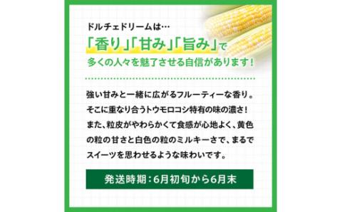 【令和8年発送】宮崎県産とうもろこし　スイートコーン「ドルチェドリーム」5kg 【 とうもろこし スイートコーン コーン とうきび 野菜 2026年発送 野菜 】 [C10811]