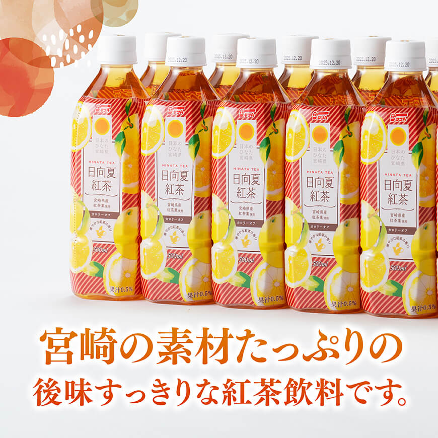 【6ヶ月定期便】サンA 日向夏 紅茶 HINATA TEA 500mlＰＥＴ 24本 入り×2ケース 【飲料 日向夏 紅茶 PET セット ジュース 長期保存 送料無料】 [C03014t6]