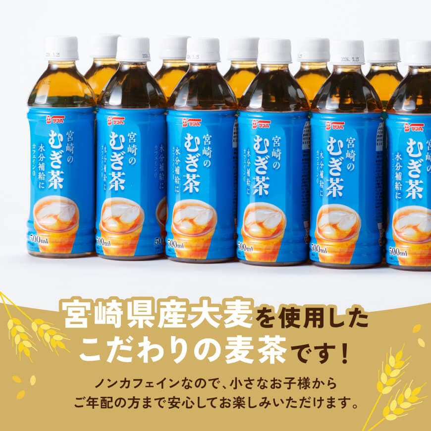 サンA宮崎のむぎ茶　500ml PET×18本 【 飲料 お茶 麦茶 宮崎県産 ペットボトル  】 [C03021]