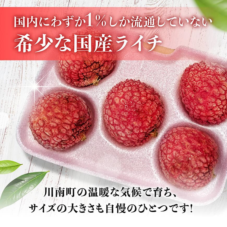 【令和8年産】川南町産ライチ（大粒）10粒(5粒×2パック) 【 国産ライチ フルーツ デザート 宮崎県産 】 [C03203]