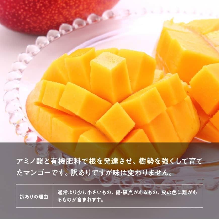 【先行予約】【令和8年発送】【訳あり】宮崎県産完熟マンゴー（ご自宅用）　完熟マンゴー3玉 【 果物 フルーツ マンゴー 宮崎県産 みやざきマンゴー 訳あり 先行予約 数量限定 期間限定 】[C03709]