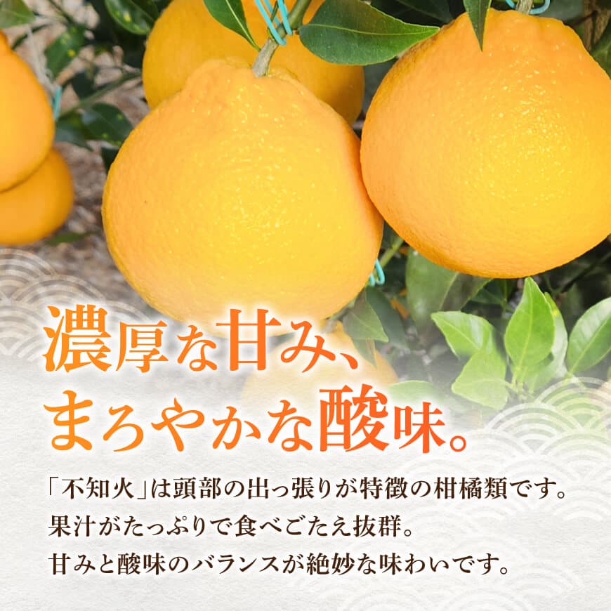 宮崎県川南町産「不知火（しらぬい）」６～１０玉 【 果物 くだもの フルーツ しらぬい 不知火 デコポン みかん 】 [C06705]