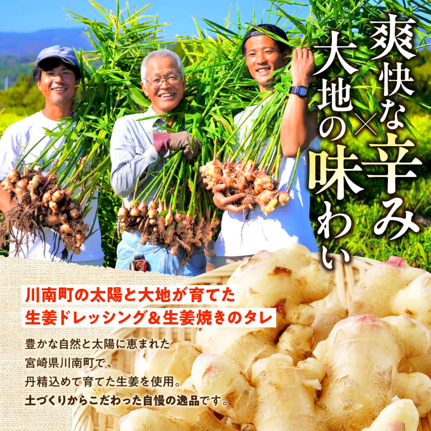 脇田農園産　生姜農家が作った生姜ドレッシング3本＆生姜焼きのタレ2本　計5本セット 【 生姜 ショウガ 国産 宮崎県産 九州産 川南町産 農家直送 しょうが 生姜焼きのたれ ドレッシング 】 [C07005]