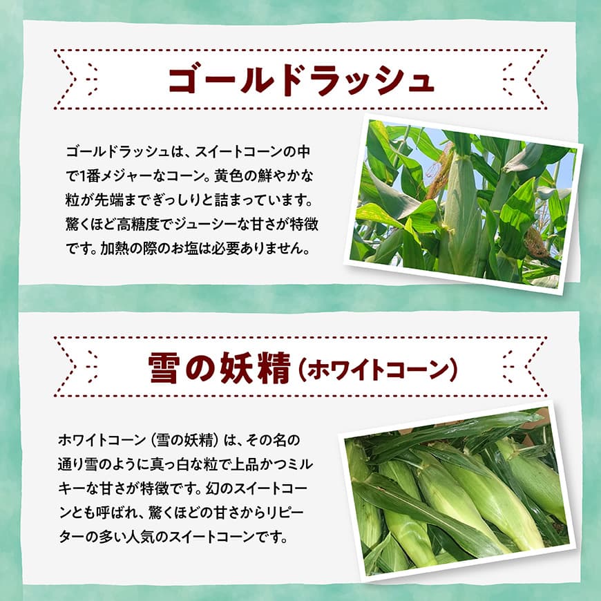 【3回定期便】※令和8年発送※ 大山さんちのスイートコーン3種（4.5kg）　【とうもろこし スイートコーン 野菜 】[C07106t3]