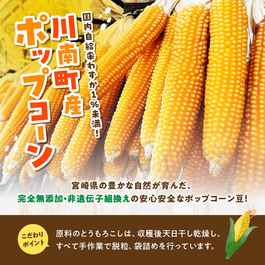 国産ポップコーン用（乾燥とうもろこし）　250g（個包装50g×5パック） 【 数量限定 期間限定 宮崎県産 ポップコーン 】[C07108]