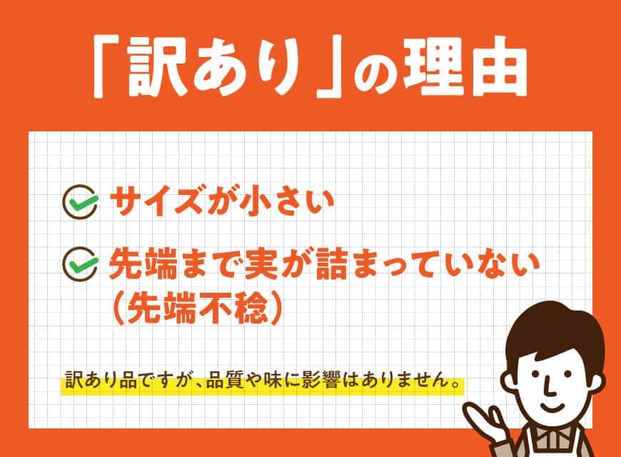 【訳あり】令和8年産とうもろこし　スイートコーン「ゴールドラッシュ」15本 【 新鮮 農家直送 トウモロコシ 産地直送 季節限定 期間限定 宮崎県産 九州産 】 [C09103]
