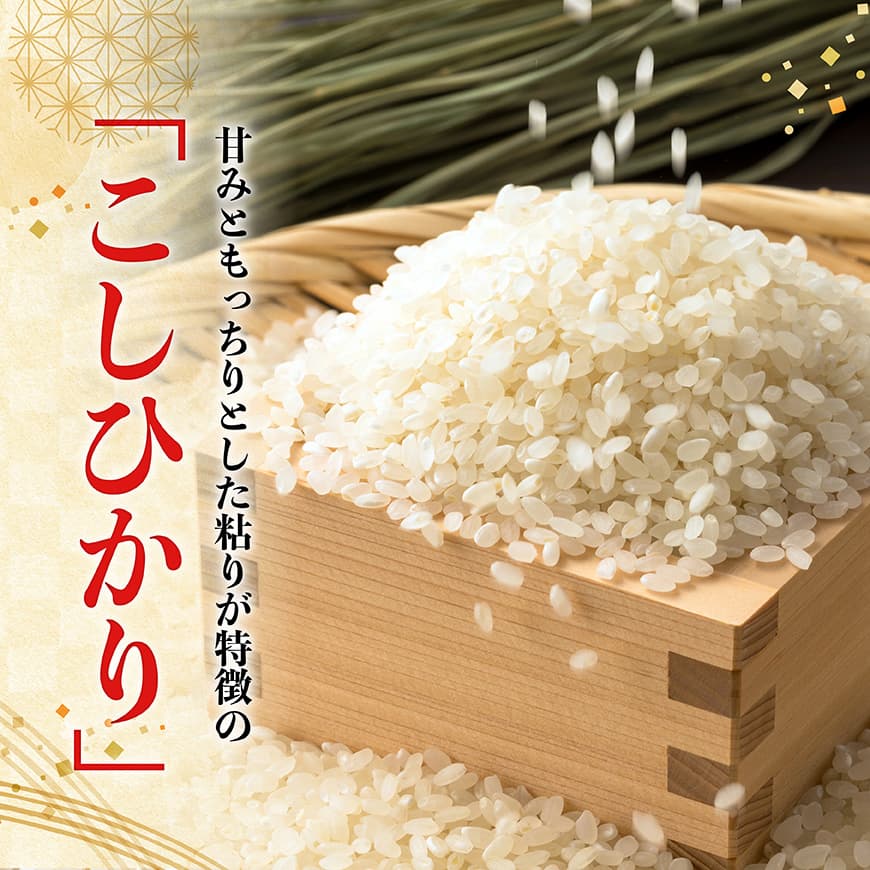 【令和7年産】宮崎県産米　村井農園産こしひかり（精米）2kg 【 米 お米 白米 精米 こしひかり 国産 宮崎県産 おにぎり 】[C10003]
