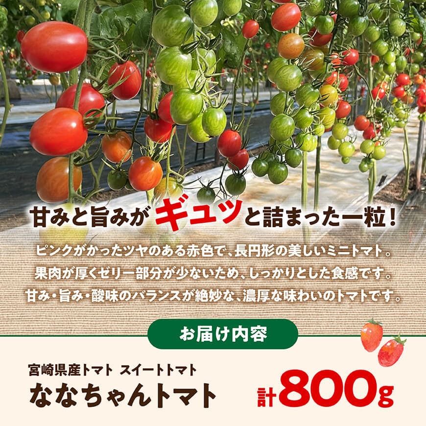 宮崎県産トマト　スイートトマト「ななちゃんトマト」800ｇ 【 トマト とまと ななちゃん 野菜 】[C10805]