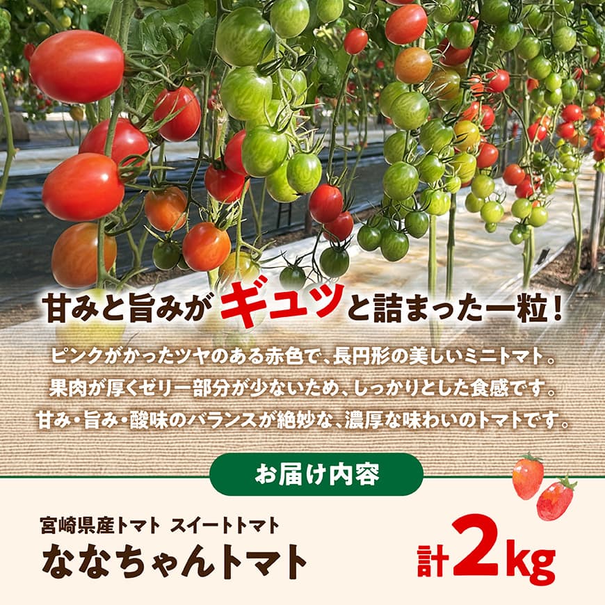 宮崎県産トマト　スイートトマト「ななちゃんトマト」2㎏ 【 トマト とまと ななちゃん 野菜 】[C10806]