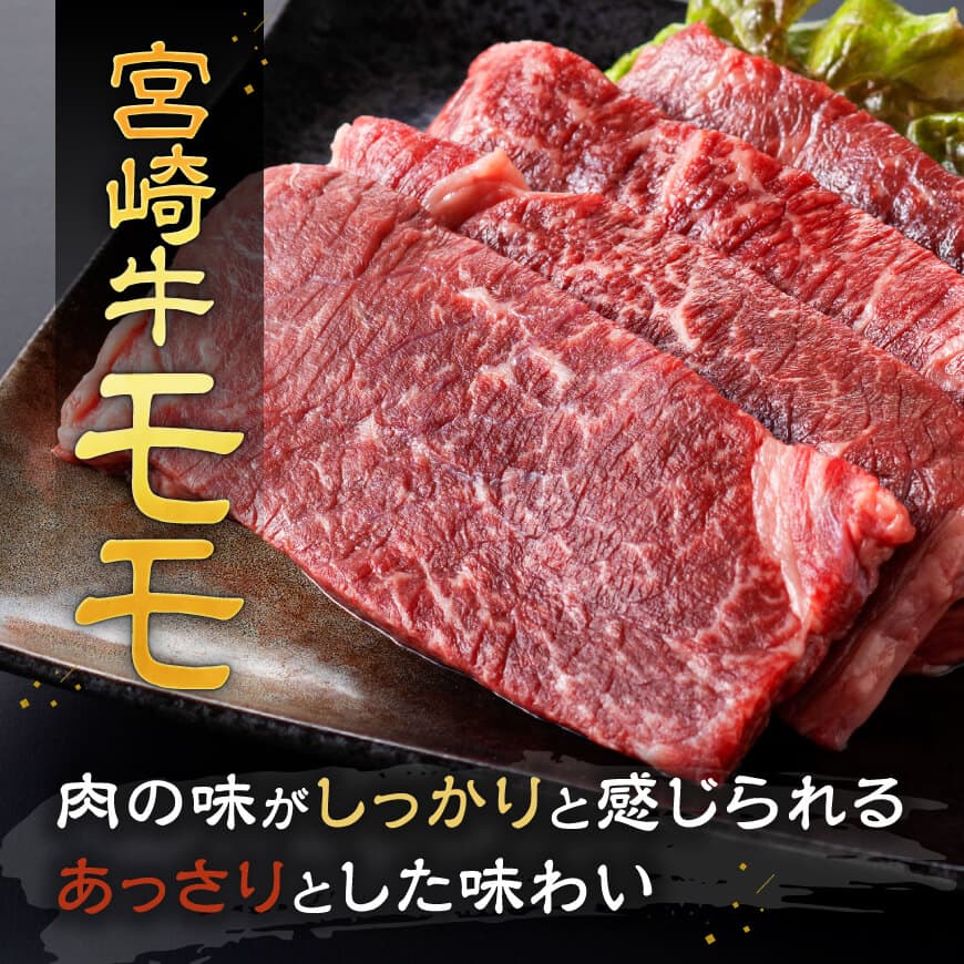 【令和8年2月発送】宮崎牛モモステーキ6枚600g 【 肉 牛肉 国産 宮崎県産 宮崎牛 黒毛和牛 和牛 焼肉 ステーキ 4等級 A4ランク モモ 】 [C11103r802] 【令和8年2月発送】