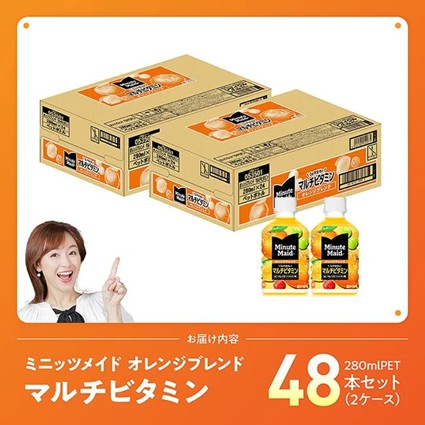 コカ・コーラ ミニッツメイド 「オレンジブレンド マルチビタミン」280mlPET 48本（24本×2箱） 【 ふるさと納税 飲料 オレンジ ジュース ミックス ブレンド PET 川南町 国内産 九州 宮崎県 送料無料 】 [C11129] 【単発便（1回）】350ml×48本（24本×2箱（2口に分け発送））