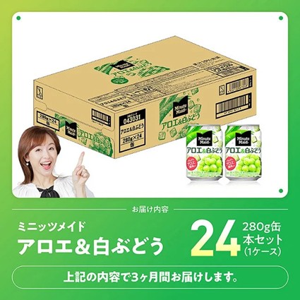 【3ヶ月定期便】ミニッツメイド「アロエ&白ぶどう」280g缶 24本 【 飲料 アロエ 白ぶどう 果汁 長期保存 定期便 】 [C11131t3] 【3ヶ月定期便】280g×24本