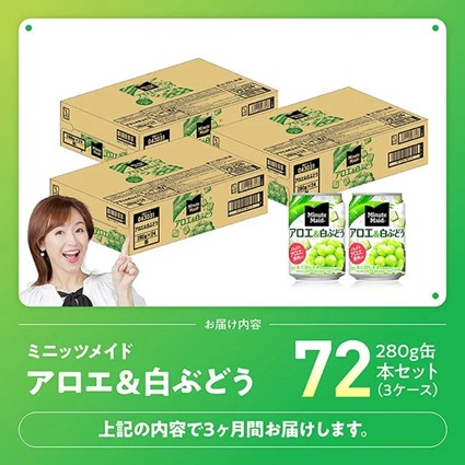 【3ヶ月定期便】ミニッツメイド「アロエ&白ぶどう」280g缶 72本（24本×3箱） 【 飲料 アロエ 白ぶどう 果汁 長期保存 定期便 】 [C11133t3] 【3ヶ月定期便】280g×72本（24本×3箱（3口に分け発送））