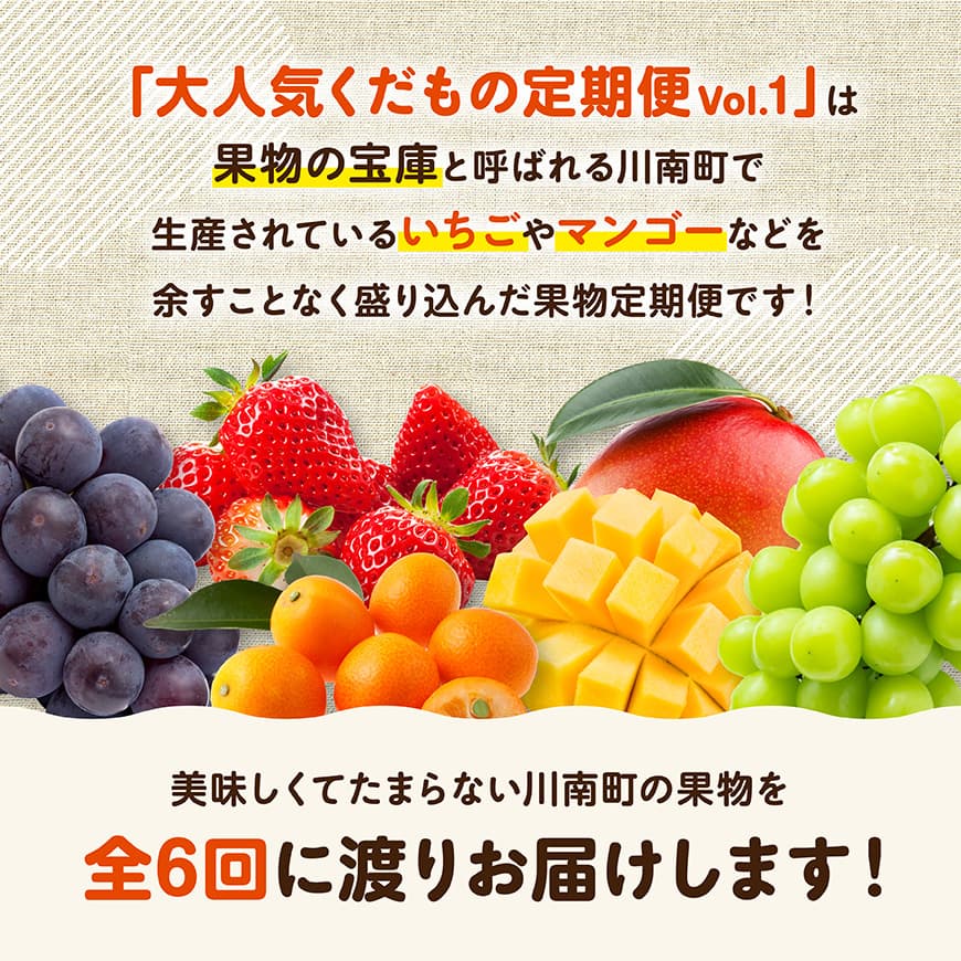 ※期間限定※【6ヶ月定期便】大人気くだもの定期便Vol.1 【 川南町産 くだもの いちご イチゴ きんかん マンゴー シャインマスカット ピオーネ  】[C11712t6]