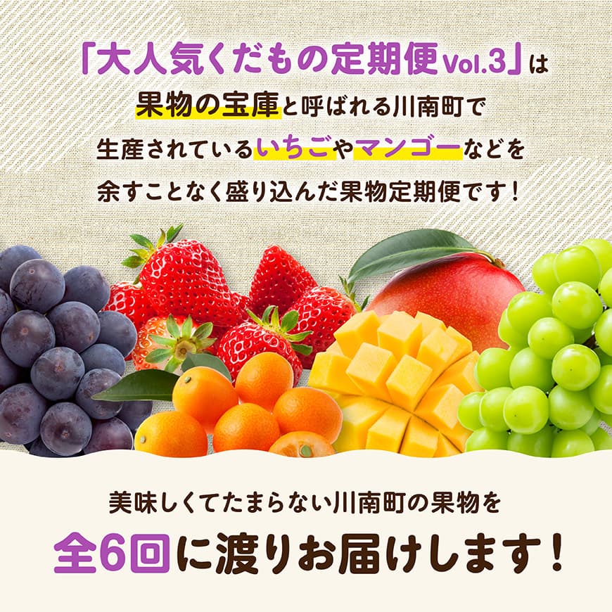 ※期間限定※【6ヶ月定期便】大人気くだもの定期便Vol.3 【 川南町産 くだもの いちご イチゴ きんかん マンゴー シャインマスカット ピオーネ  】[C11714t6]