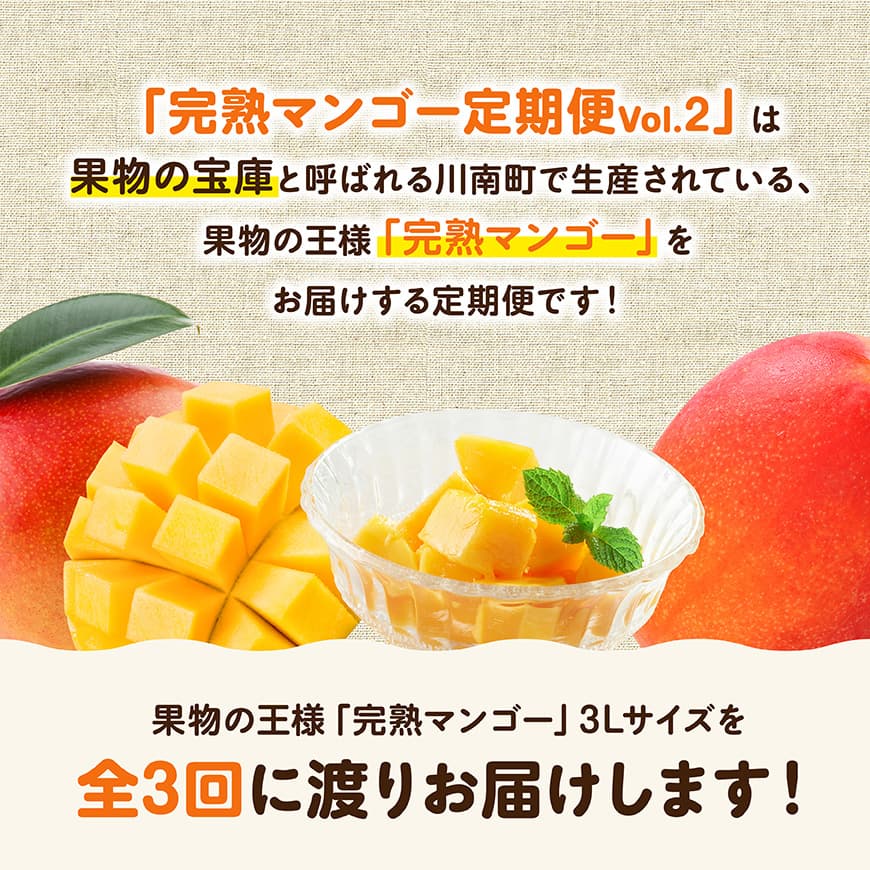 【3ヶ月定期便】完熟マンゴー定期便Vol.2 【 川南町産 くだもの マンゴー  】[C11707t3]