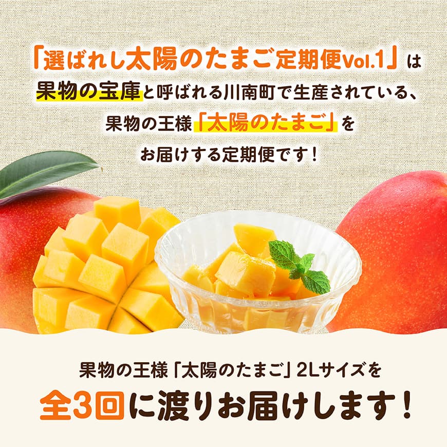 【3ヶ月定期便】選ばれし太陽のたまご定期便Vol.1 【 川南町産 くだもの マンゴー  】[C11708t3]