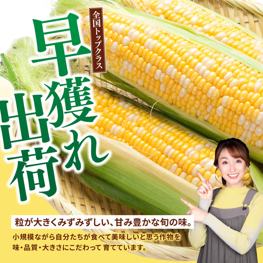 【令和８年発送】SUNちゃん農園産「ドルチェドリーム2kg以上（サイズ指定不可）」【 とうもろこし ドルチェドリーム トウモロコシ 令和8年発送 数量限定 期間限定 】[C13102]