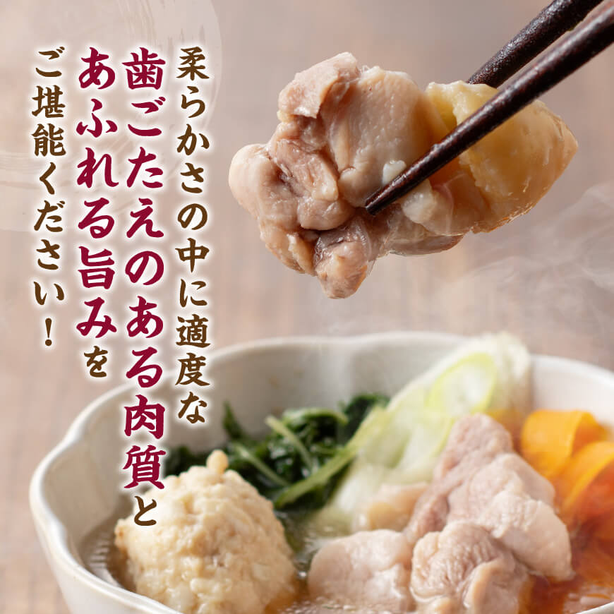 みやざき 地頭鶏　コラーゲン鍋セット【 鶏肉 国産 九州産 鳥 宮崎県産 モモ ムネつくね 手羽 】[D00902]