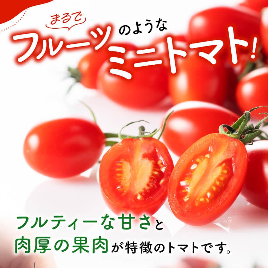 宮崎県産ミニトマト「アイコ」3kg 【 宮崎県産 ミニトマト トマト 】[C03805]