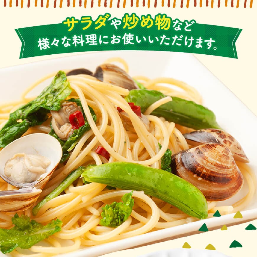 【令和8年発送】宮崎県産　スナップエンドウ1.0kg 【 野菜 宮崎県産 川南町産 野菜 産地直送 新鮮 数量限定 】[C03904]