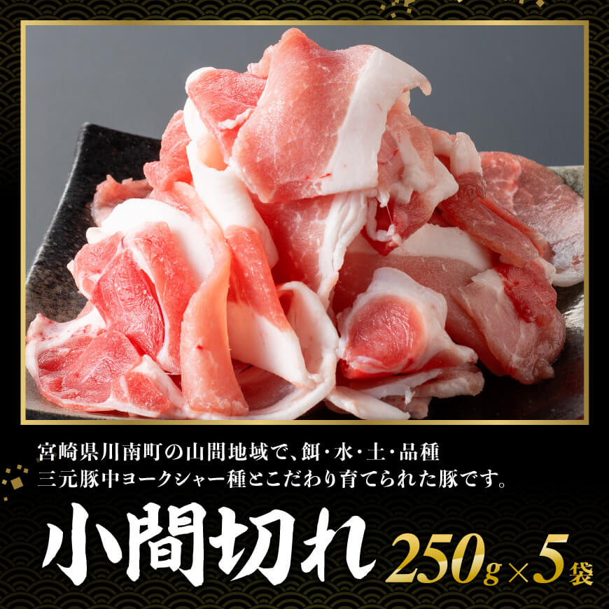 【12ヶ月定期便】宮崎県産豚肉　放牧豚パラパラ小間切れ1.25kg（250g×5袋）【 豚肉 豚 肉 小間切れ 細切れ 炒め物 】[C08104t12]