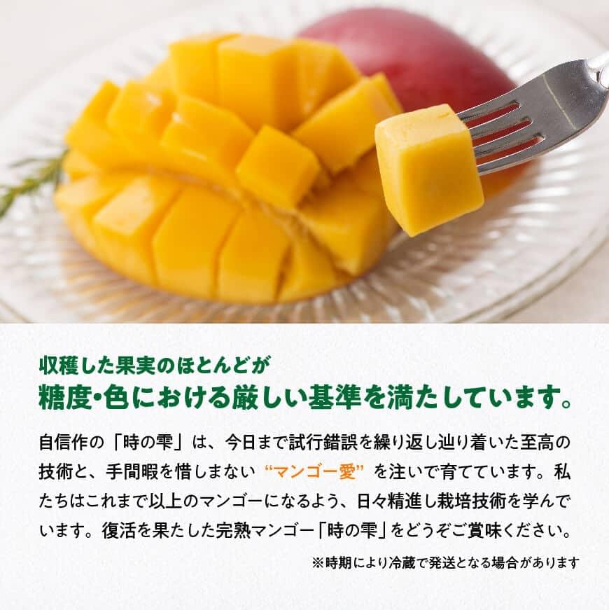 【令和8年発送】宮崎県産 完熟マンゴー「時の雫」 4L×2玉 【 果物 フルーツ マンゴー 宮崎県産 完熟マンゴー みやざきマンゴー 先行予約 数量限定 期間限定 】 [C08604]