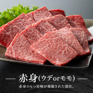 【令和8年2月発送】宮崎牛赤身(ウデorモモ)霜降り焼肉2種400g 【 肉 牛肉 国産 宮崎県産 黒毛和牛 和牛 焼肉 やきにく BBQ 4等級 A4ランク うで モモ 肩ロース ロース 】 [D11123r802] 【令和8年2月発送】