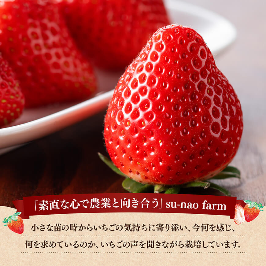 川南町産いちご「やよいひめ」430ｇ 【 期間限定 果物 イチゴ 苺 やよいひめ フルーツ 】[C11201]