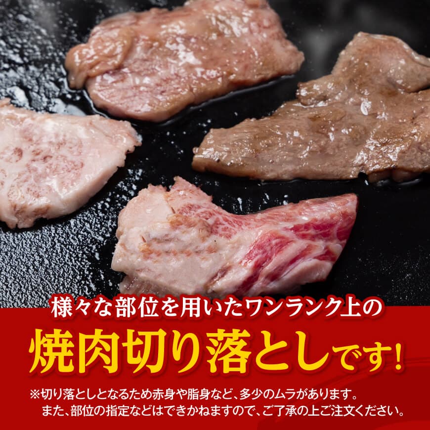 【数量限定】宮崎県産黒毛和牛焼肉用切り落とし1kg 【 牛肉 国産 宮崎県産 宮崎牛 BBQ 焼肉用牛肉 国産牛肉 九州産牛肉 宮崎県産牛肉 送料無料 】[D11304]