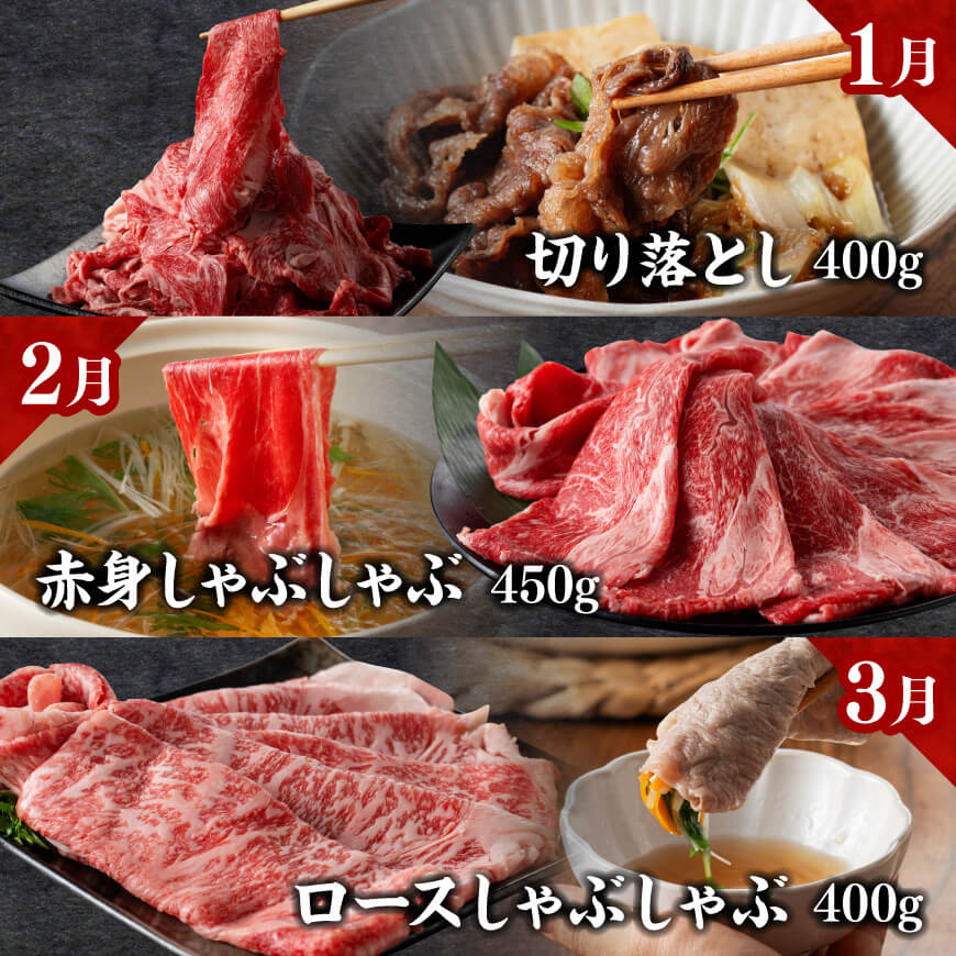 【定期便】宮崎牛　匠の堪能セット 12か月定期便 【 肉 牛肉 国産 黒毛和牛 宮崎牛 全12回 焼肉 しゃぶしゃぶ 焼きしゃぶ BBQ 宮崎県 川南町 】[C11413t12]